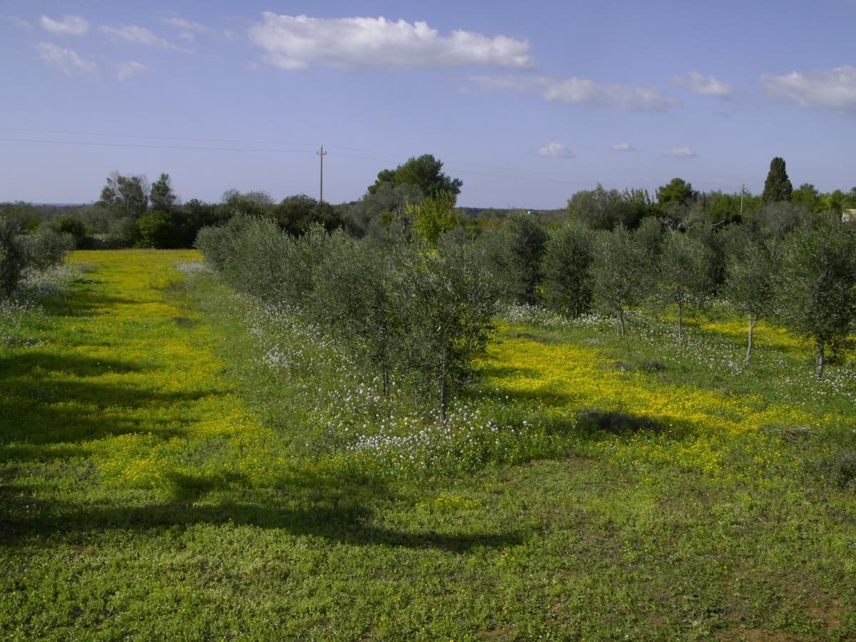 Masseria Agriturismo Faresalento Галлиполи Экстерьер фото